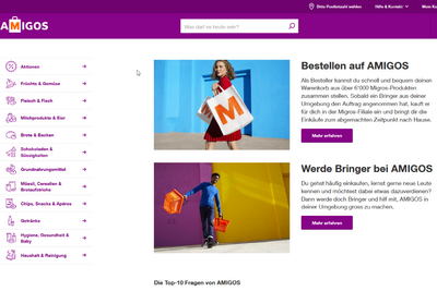 Le site web d'«Amigos» 