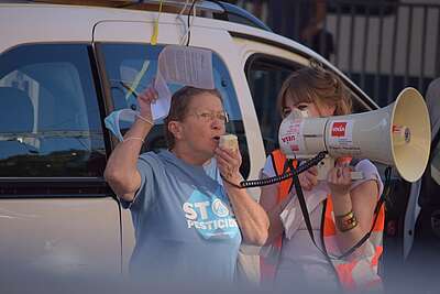 La meglio gioventù  di oggi e di ieri  