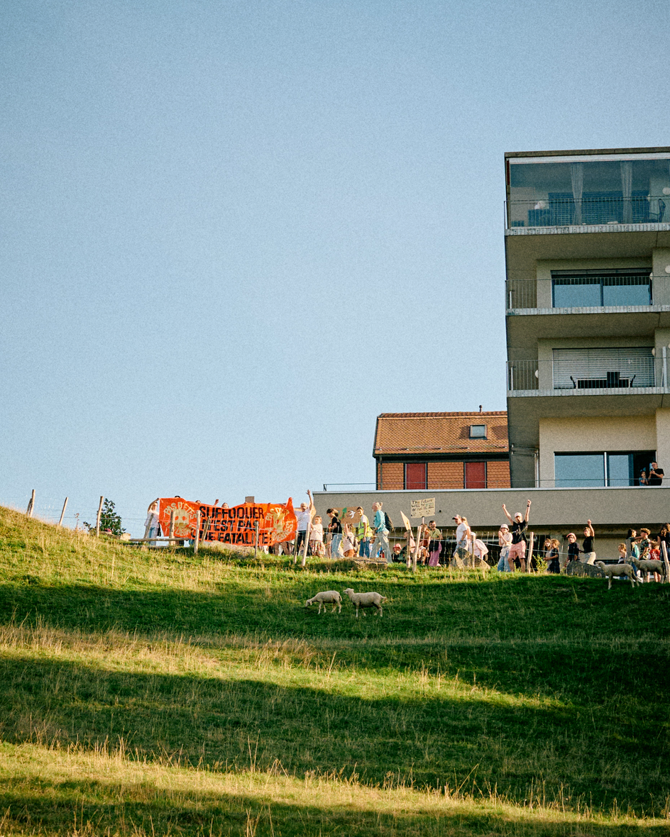 Une pelouse verte devant un bâtiment moderne à Fribourg, sous un ciel bleu.