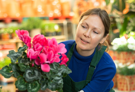Detailhandelsfachfrau mit grüner Schutzschürze schaut sorgsam auf den Cyklamen-Blumentopf in ihrer Hand. Im Hindergrund ist ein grosser Lebensmittelmarkt zu erkennen.