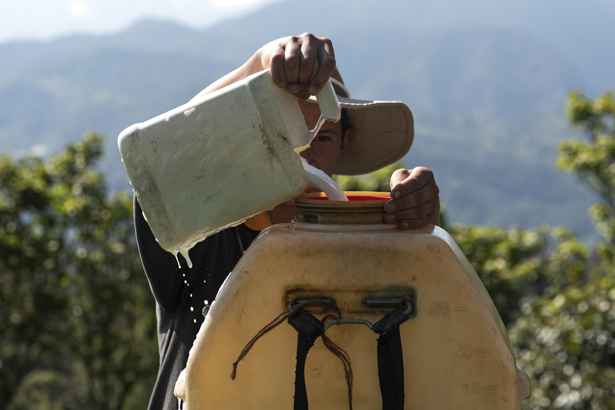 In Costa Rica, un giovane operaio versa sostanze chimiche in un vecchio barattolo senza protezione.