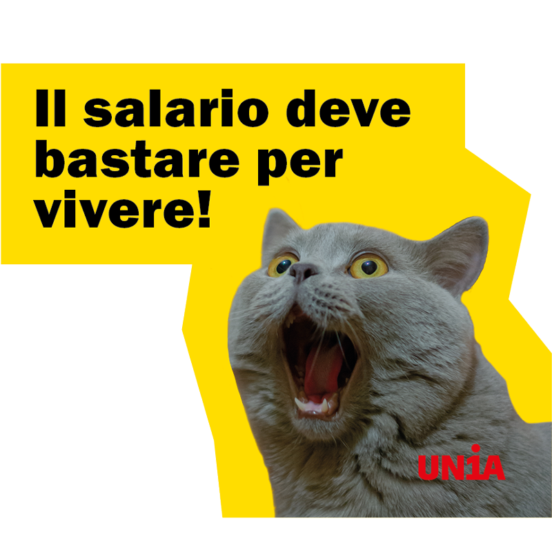 Gatto grigio con gli occhi sgranati e la bocca spalancata per lo spavento, su sfondo giallo. Testo: «Il salario deve bastare per vivere!».