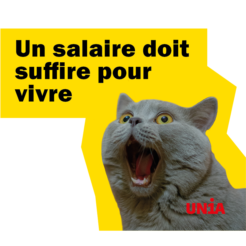 Chat gris aux yeux écarquillés, la gueule grande ouverte de stupeur, sur fond jaune. Texte: «Un salaire doit suffire pour vivre».