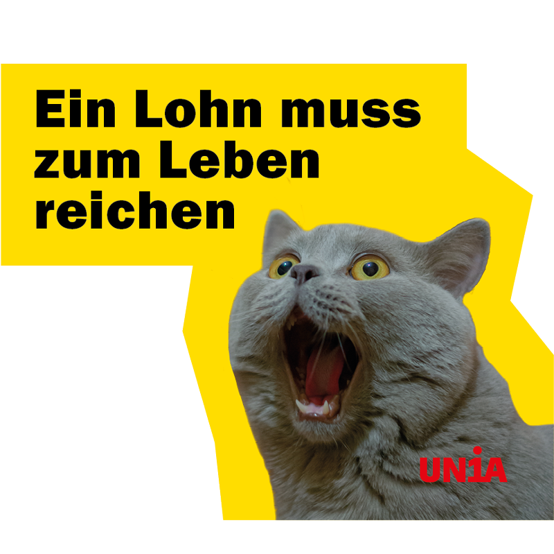 Graue Katze reisst vor Schreck Augen und Maul weit auf, auf gelbem Grund. Text: «Ein Lohn muss zum Leben reichen».
